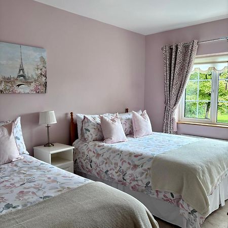 The Lodge Self Catering Castlerea Екстериор снимка