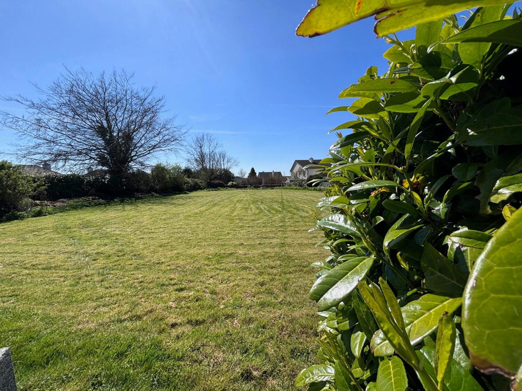 The Lodge Self Catering Castlerea Екстериор снимка